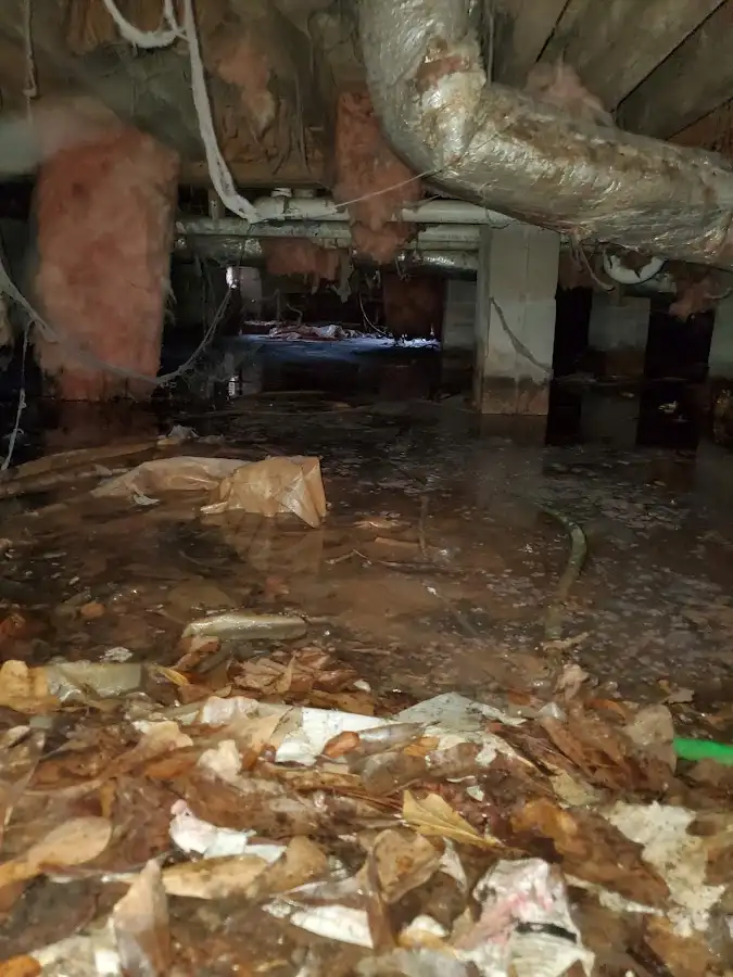 Crawl space flood assessment for Leak Detection & Repair in Tonganoxie
